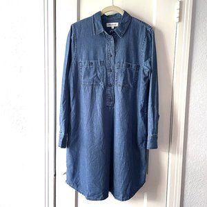 Madewell Denim Button Down Dress